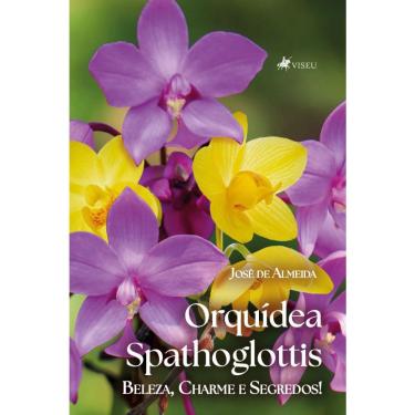 Imagem de Orquídea Spathoglottis: Beleza, Charme e Segredos!