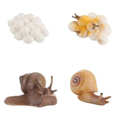 Imagem de Figura do inseto de 4 partes ninhada plástica do ciclo de vida animal 