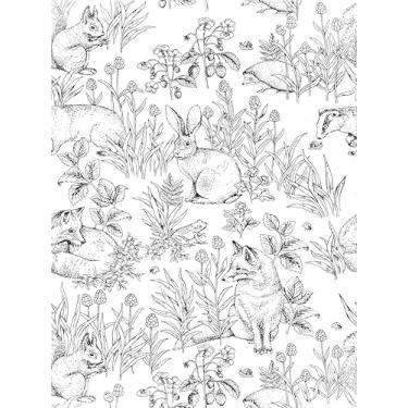 Imagem de WalRiddle Papel de parede preto e branco animal floresta coelho raposa esquilo descascar e colar fácil de tirar adesivo em papel de parede impermeável para locatário