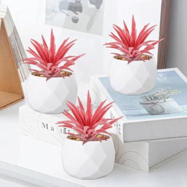Imagem de 3 peças de suculentas artificiais mini realistas decorativas com detalhes de vegetação dupla para decoração de mesa e prateleira