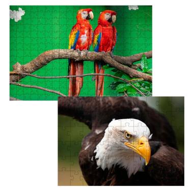 Imagem de Kit 2 Quebra-cabeça Inclusivos Beleza De Pássaros Em 60 Peças