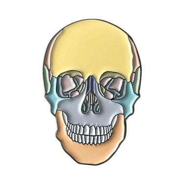 Imagem de Broche Esmaltado de Anatomia Renal - Joia Médica para Médicos e Enferm