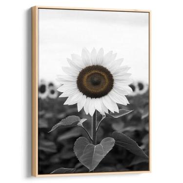 Imagem de Quadro decorativo Girassol Solitário em Campo de Sombras - Art Canvas,