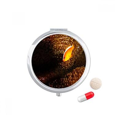 Imagem de Caixa de comprimidos natural Ocean Anêmona Fish Coral Science Pocket Medicine Storage Box Dispenser recipiente