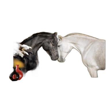 Imagem de Papel De Parede Animais Casal Cavalos Fazenda 3,5M Anm306