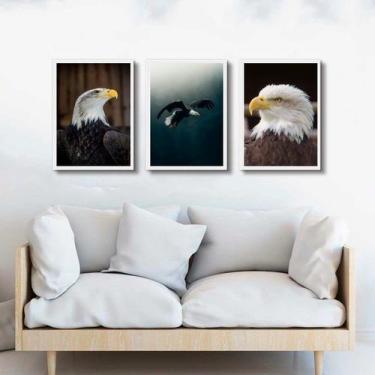 Imagem de Kit 3 Quadros Decorativos Fotos Águia 45x34cm - Quadros On-line, Madei