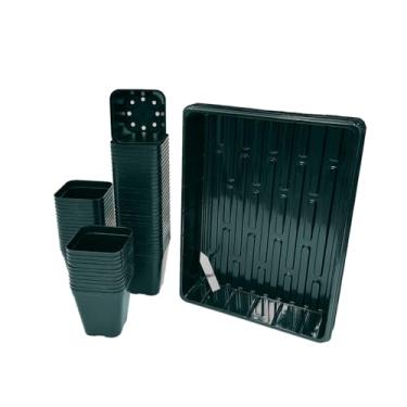 Imagem de June Fox Pacote com 60 vasos quadrados para berçário de 10 cm com 5 bandejas de sementes, vasos pequenos para plantas com orifícios de drenagem para mudas, suculentas (verde)