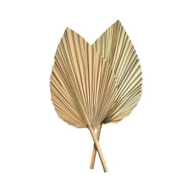Imagem de Mini Ventilador De Palma Com Folhas Secas E 2 Ramos De Grama Pampas Pa