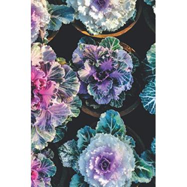 Imagem de Journal/Ruled Notebook - Paperback Ruled Journal 6x9 -240 pages Icey Road Cover Perfect for Office Home School Business Writing & Note Taking