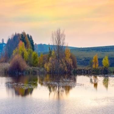 Imagem de Quadro Decorativo Árvores de Outono Refletidas no Rio - Arte Colorida para Decoração de Parede Tamanho 30x30cm