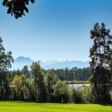 Imagem de Quadro Decorativo de Paisagem com Árvores e Céu Claro - Arte para Parede Moderna Tamanho 30x30cm