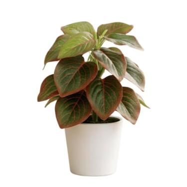 Imagem de Planta Artificial em Vaso 28cm – Decoração de Sala, Escritório e Quarto | Folhas de Plástico Realistas | Sem Manutenção (Nervura-Vermelha)