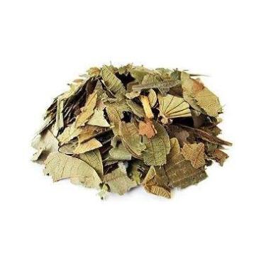 Imagem de Chá Embaúba 100g - Cecropia Pachystachya - Planta Medicinal - no-brand