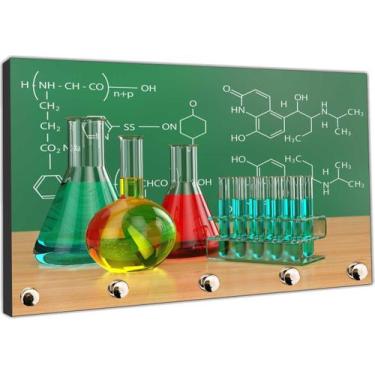 Imagem de Porta Chaves Ciências Química Laboratórios Biologia Organizador Chavei
