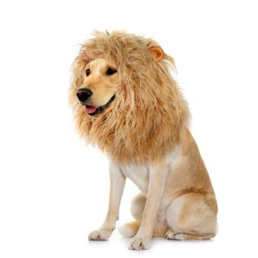 Imagem de Peruca Dog Lion Mane Onmygogo tamanho M, traje amarelo