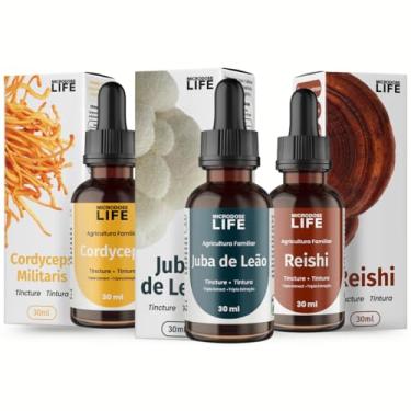 Imagem de Kit Foco Energia E Equilíbrio | Extrato Líquido Juba De Leão + Cordyceps + Reishi 30ml | Fungi Life