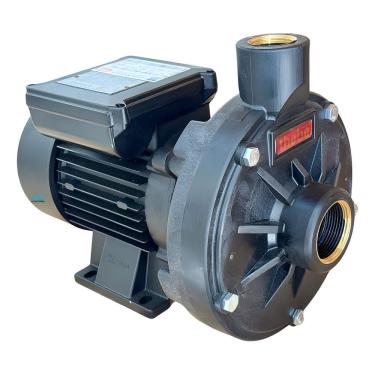Imagem de Motobomba Centrífuga 1,0cv Th-16p Thebe Termoplástico 15.000 L/h