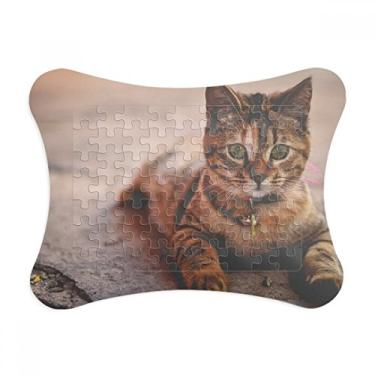 Imagem de Moldura de quebra-cabeça com fotografia de gato silenciosa para decoração de imagem