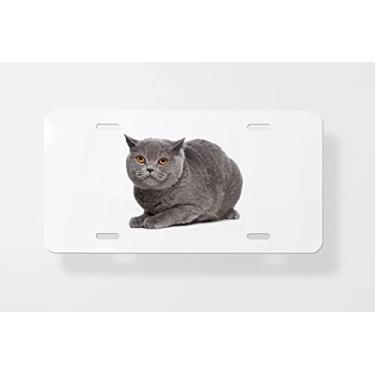 Imagem de Capa para placa de carro Blue British Shorthair Cat 2 – Capa para placa de carro – Capa para placa de carro 15 x 30 cm