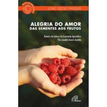 Imagem de Alegria Do Amor: Das Sementes Aos Frutos - Roteiro De Leitura Da Exortação Apostólica Pós-sinodal Am