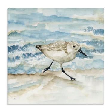 Imagem de Stupell Industries Arte de parede em tela Sandpiper Striding Shore, design por Nan, 43 x 43 cm