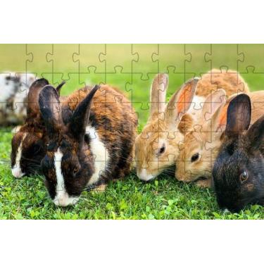 Imagem de Quebra-Cabeça Inclusivo 300 peças Coelhos que Encantam e Ensinam - Col