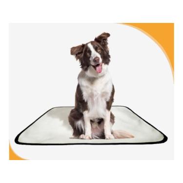 Imagem de Banheiro Canino Lavável Pet Em Oferta 5Un M - 60 X 80 Cm - Shelby Moda