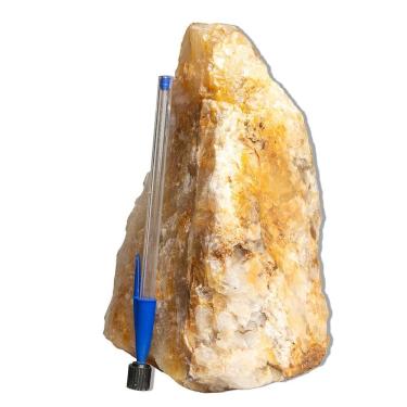 Imagem de 01 Hematoide Amarelo Pé Serrado 12 a 16cm 1 a 2kg Tipo B