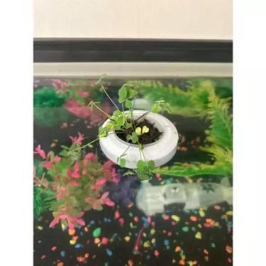 Imagem de Vaso Flutuante para Plantas de Aquário - 3D
