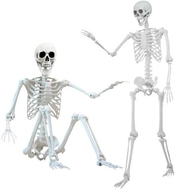 Imagem de IDMOP Esqueleto articulado de esqueleto de Halloween de 1,6 m, esqueleto em tamanho real, esqueleto humano de corpo inteiro, esqueleto humano em pé com articulações possíveis para decoração de
