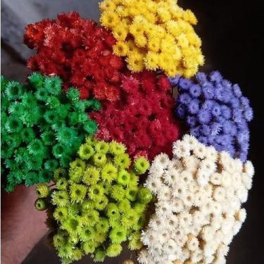 Imagem de Sempre Viva Botão Jazida - 100 Flores - Decoração - VIVA FLOR, VERDE