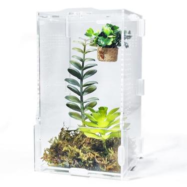 Imagem de Helidrago Gabinete de aranha saltadora, habitat de tarântula arbórea transparente, gaiola de terrário louva-a-deus para aranha saltadora, lingas de tarântula, louva-a-deus, caracol, isópodes, besouros