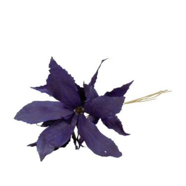 Imagem de Planta Seca Flor de Carne de Vaca Roxa 60cm - Pense Flores