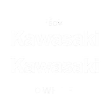 Imagem de Adesivo Para Tanque De Motocicleta Kawasaki De Natal Z900 Z1000 Z800 N