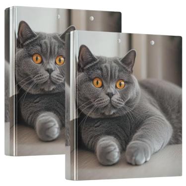 Imagem de Fichários fofos de gato cinza de 3 cm com 3 anéis para guardar 200 folhas, portfólio de pastas com estampa de animais, fichário redondo, 31,5 x 27 x 6 cm, 1 pacote