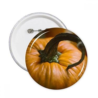 Imagem de Imagem de abóbora fresca, fotografia natural, alfinetes, emblema, botão, decoração, 5 peças, presente