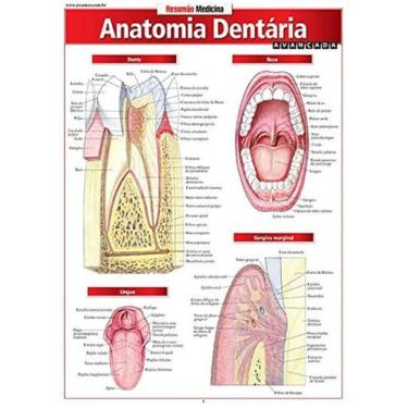 Imagem de Anatomia Dentária Avançada - Barros Fischer & Associados