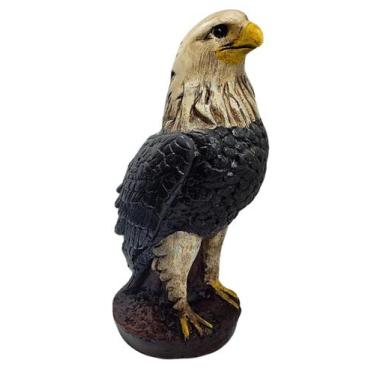 Imagem de Gavião Águia Gesso Decoração Casa Chácara Sítio Time - WA