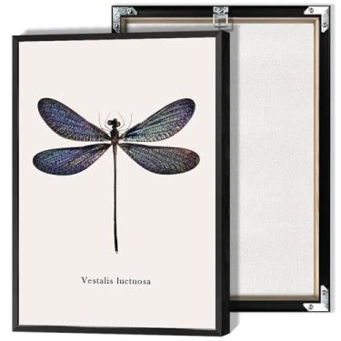 Imagem de Pôster Vestalis Luctuosa Libélula Amostras de Insetos Arte de Parede Moderna Linda Asas Coloridas Libélula Impressão Pintura para Decoração de Casa e Presentes para Adolescentes e Crianças 30 x 40 cm