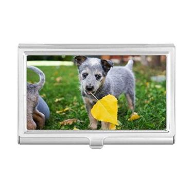 Imagem de Bonita carteira para fotografia de animal de estimação com porta-cartões de visita