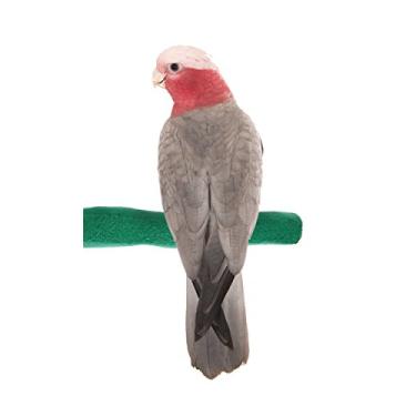 Imagem de Sweet Feet and Beak Poleiro de pedra-pomes de pássaro de segurança com aderência confortável – O poleiro patenteado mantém as unhas e o bico em boas condições – imita a vida dos pássaros na natureza – não tóxico – Pendura facilmente – Médio – Verde