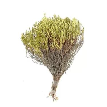 Imagem de Buquê Capim Crespo Verde Desidratado Arranjo Folhagem Sec - FLORA FULL