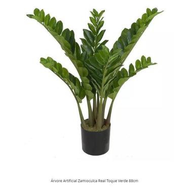 Imagem de Árvore Artificial Zamioculca Real Toque Verde 88cm - FLORESCER DECOR