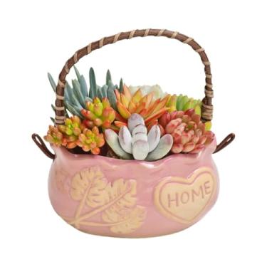 Imagem de SUSOYAOCHEN Vasos de cerâmica para suculentas, vaso de cerâmica pequeno de 10 cm com orifícios de drenagem, vasos de flores para cactos, ervas, plantas ao ar livre (rosa)