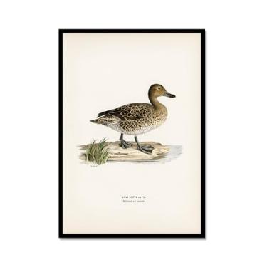 Imagem de Impressão de pato vintage rústico Pato Pato Pato Lago pôster de arte de parede retrô natureza pintura em tela imagens decoração de quarto de fazenda (SKU8,20.3x30.5 cm = (20x30cm), moldura de metal