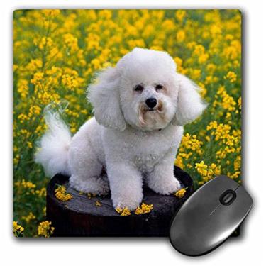Imagem de 3dRose Mouse pad Bichon Frise LLC 20 x 20 x 0,63 cm (mp_3339_1)