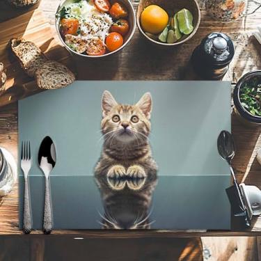 Imagem de Jogo americano conjunto de 2, tapete de mesa antiderrapante azul gato marrom fofo à prova de calor, tapete de mesa lavável de linho com foco de animal para cozinha, jantar, decoração de festa interna