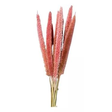 Imagem de Buquê Capim Flor Mileto Rosa Secos Arranjo Noiva Pampas - FLORA FULL