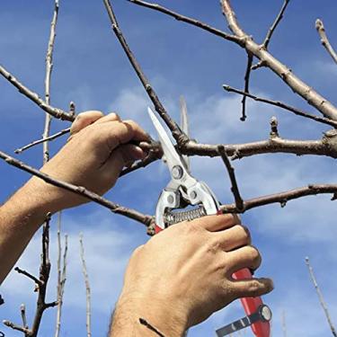 Imagem de Tesouras de poda de cotovelo, cabo de plástico de aço inoxidável, podador manual vermelho com comprimento de corte de 19 cm, para jardinagem e poda de colheita de frutas e enxertia