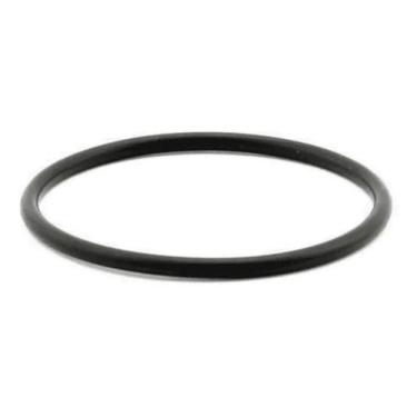 Imagem de Anel Vedação Reposição Filtro Canister Sunsun Hw-3000/hw-404
